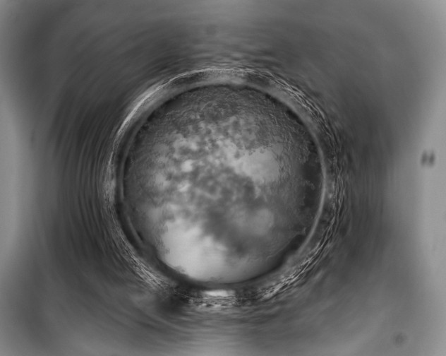 X0000100470053200806131136