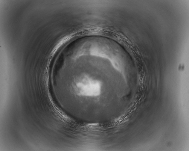 X0000100470054200806131136