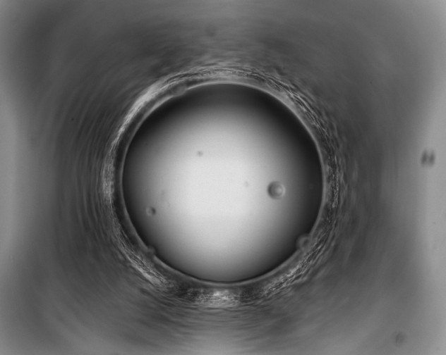 X0000100470056200806131136