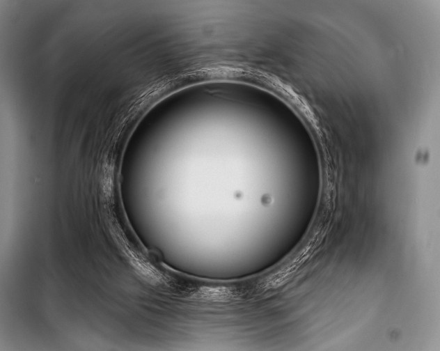 X0000100470057200806131136