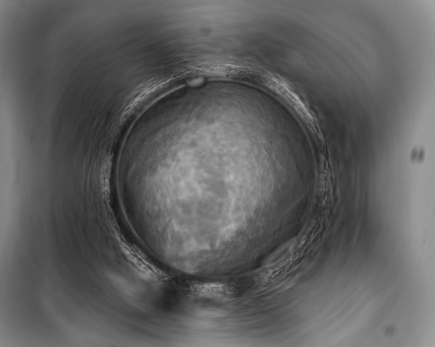 X0000100470058200806131136