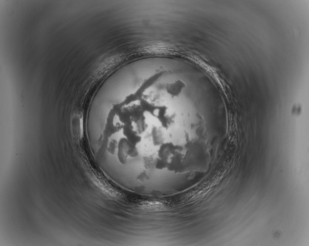 X0000100470061200806131136