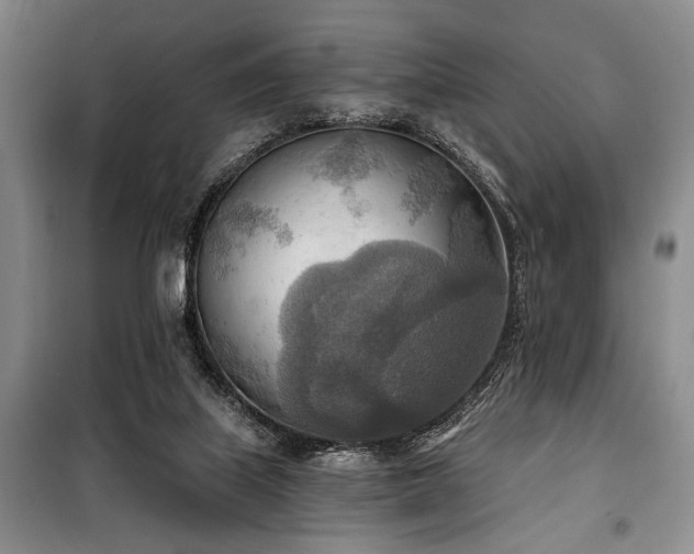 X0000100470067200806131136