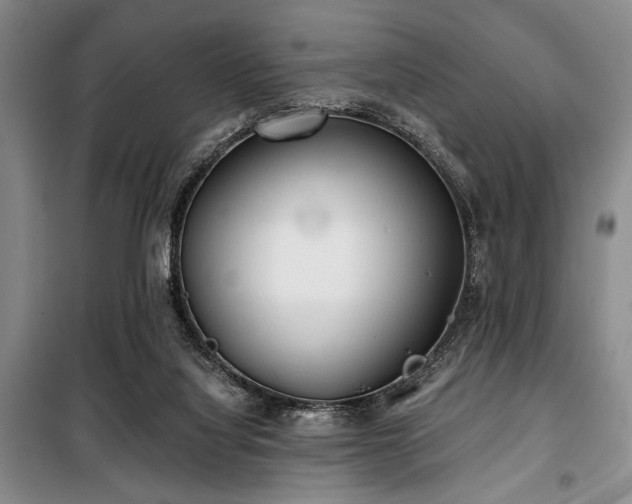 X0000100470068200806131136