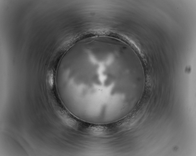 X0000100470069200806131136