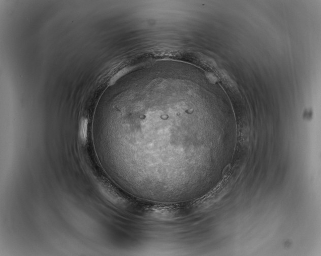 X0000100470070200806131136