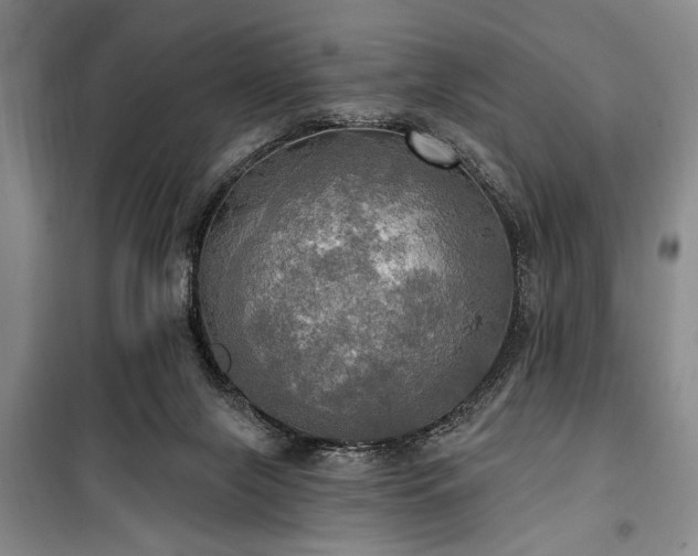 X0000100470071200806131136