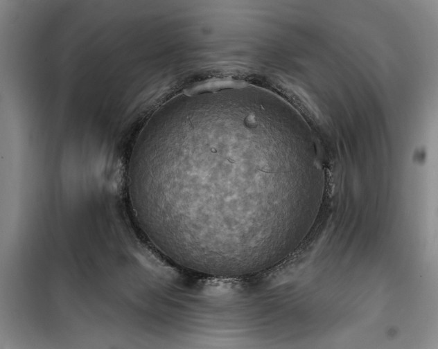 X0000100470077200806131136