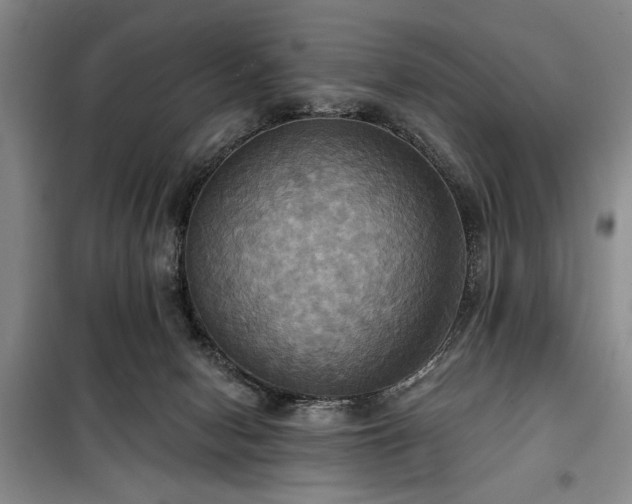 X0000100470078200806131136