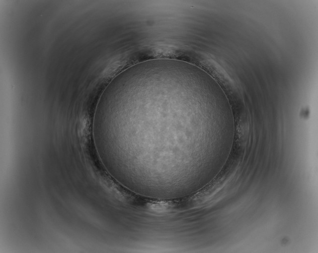 X0000100470079200806131136