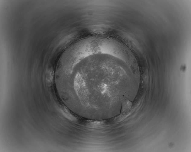 X0000100470081200806131136