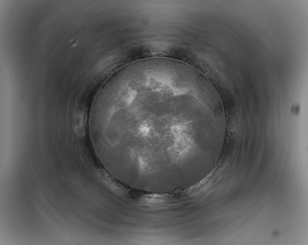 X0000100470082200806131136