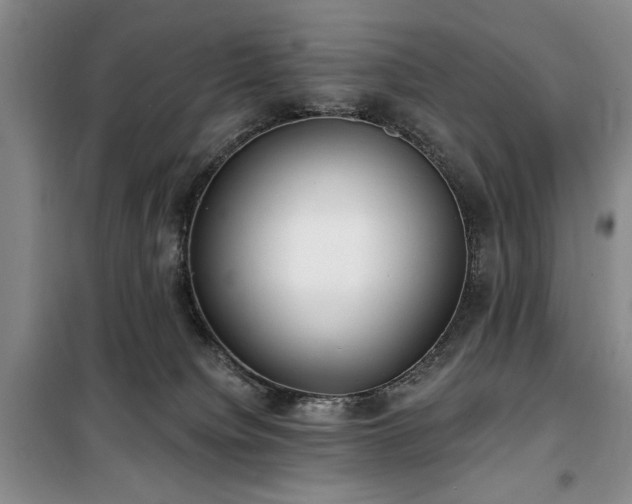 X0000100470084200806131136