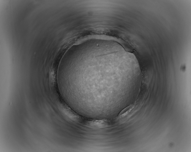 X0000100470086200806131136