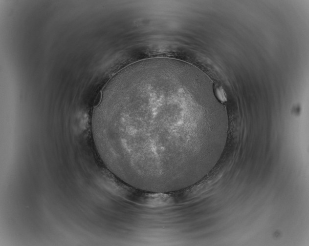 X0000100470087200806131136