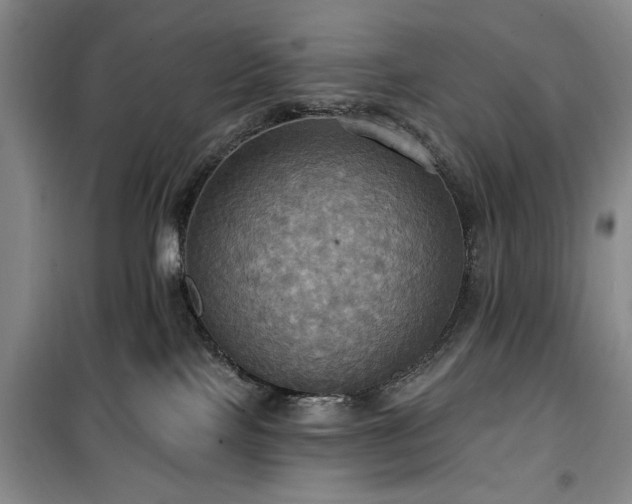 X0000100470089200806131136