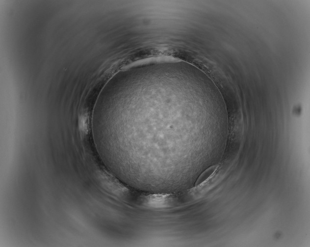 X0000100470090200806131136