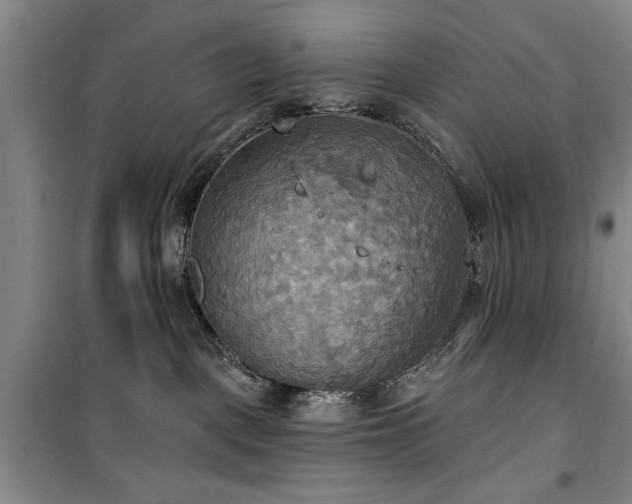 X0000100470093200806131136