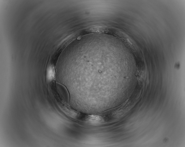 X0000100470095200806131136