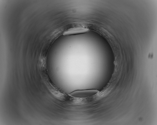 X0000100470096200806131136