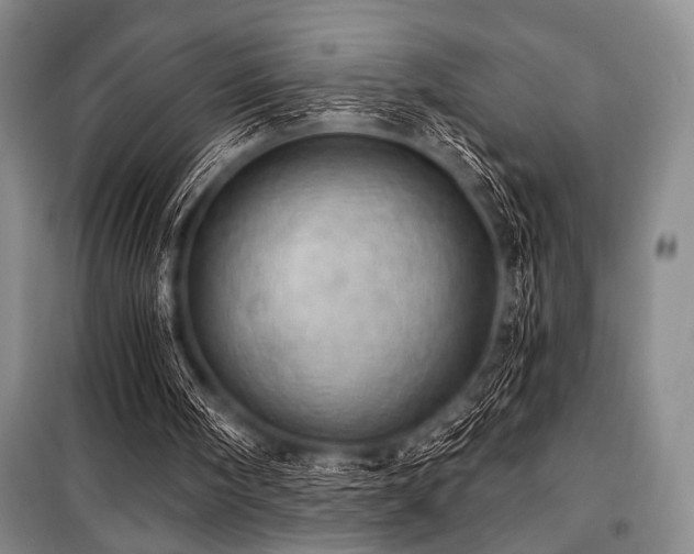 X0000100470098200806131136