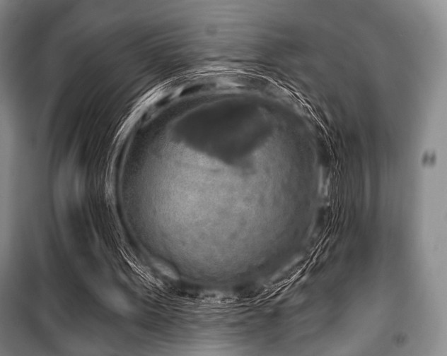 X0000100470099200806131136