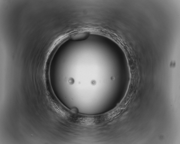 X0000100470104200806131136