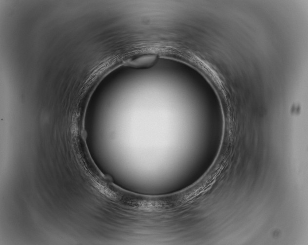 X0000100470105200806131136