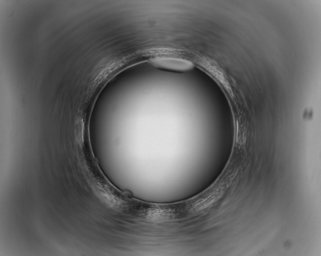 X0000100470109200806131136