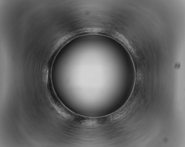 X0000100470110200806131136