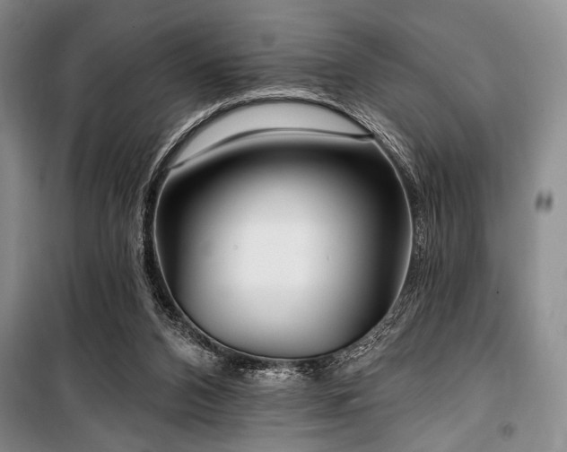 X0000100470112200806131136