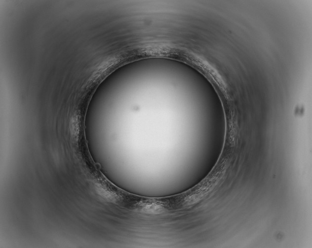 X0000100470113200806131136