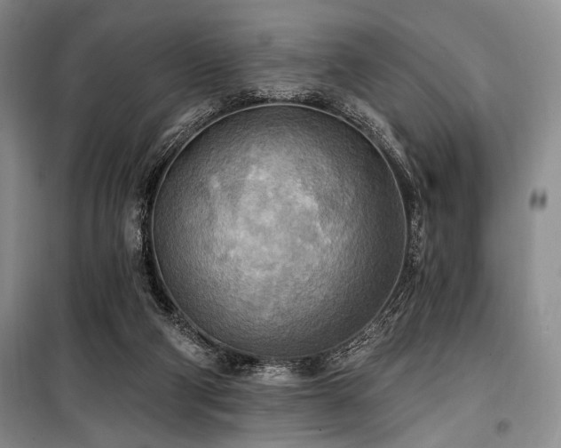 X0000100470114200806131136