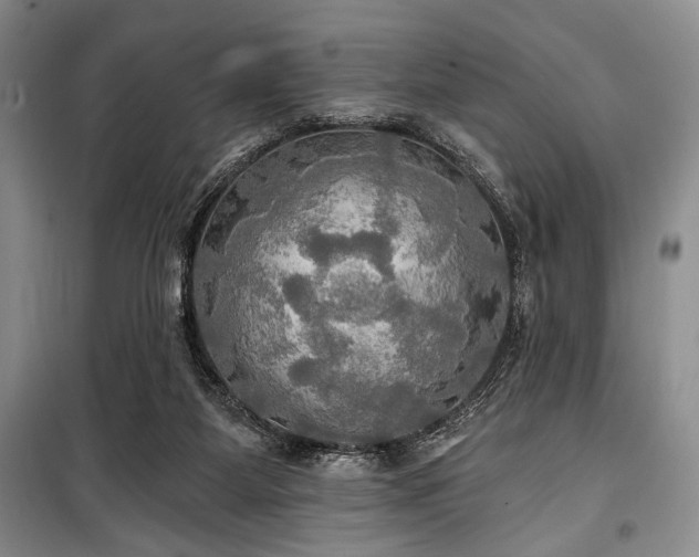 X0000100470115200806131136