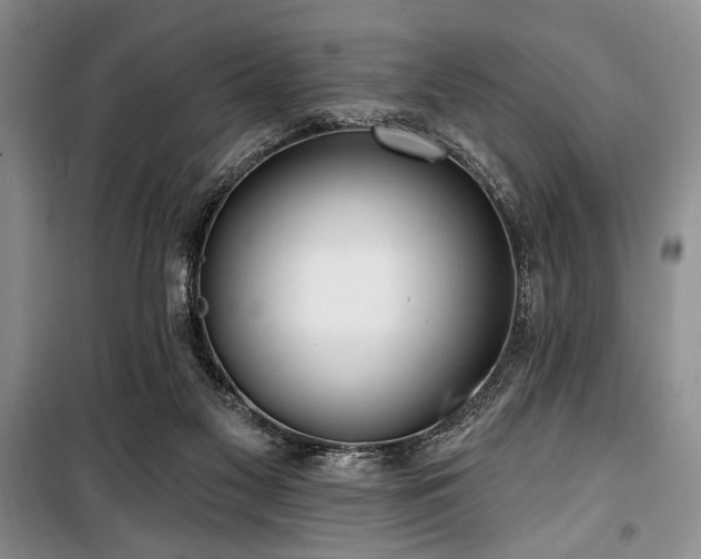 X0000100470117200806131136