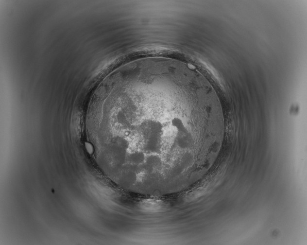 X0000100470119200806131136