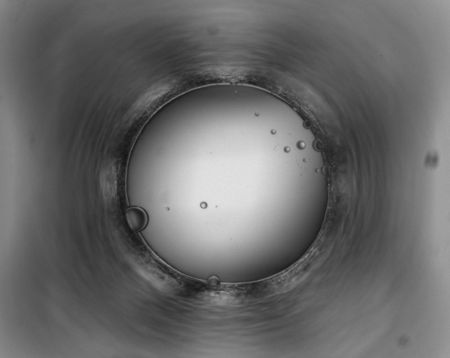 X0000100470120200806131135