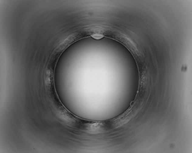 X0000100470122200806131135