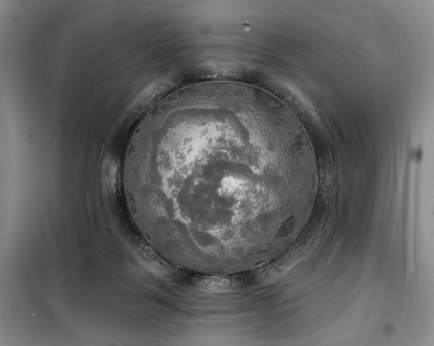 X0000100470123200806131135