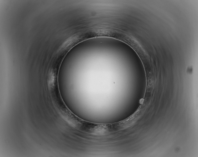 X0000100470124200806131135