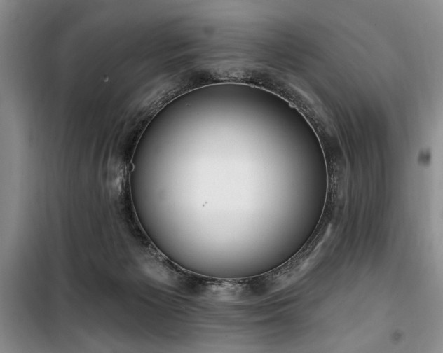 X0000100470125200806131135