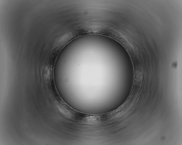 X0000100470126200806131135