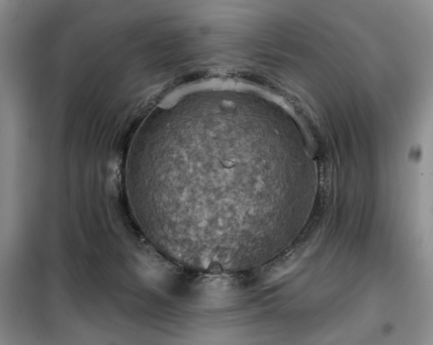 X0000100470127200806131135