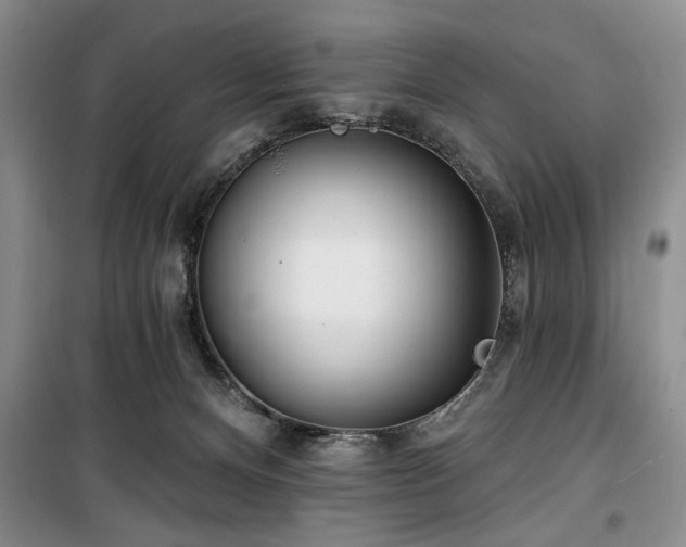 X0000100470128200806131135