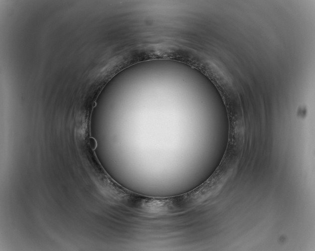 X0000100470129200806131135