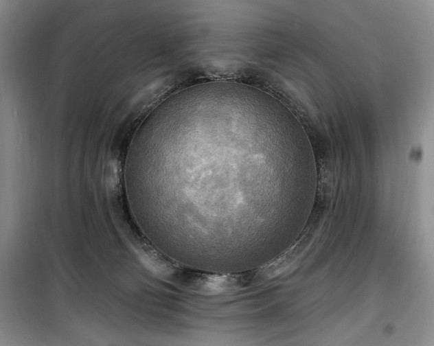 X0000100470130200806131135