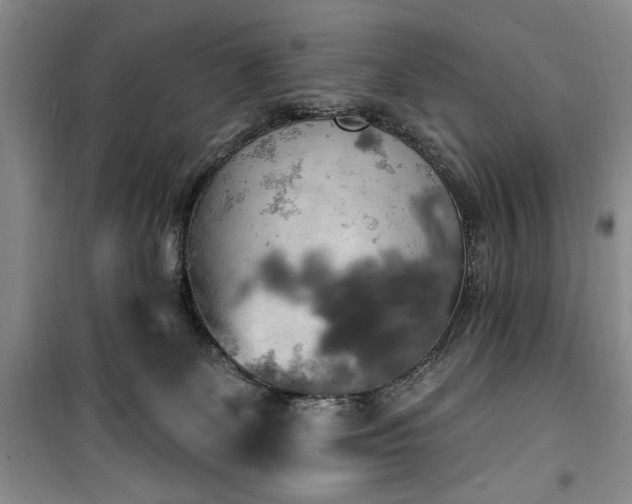 X0000100470131200806131135