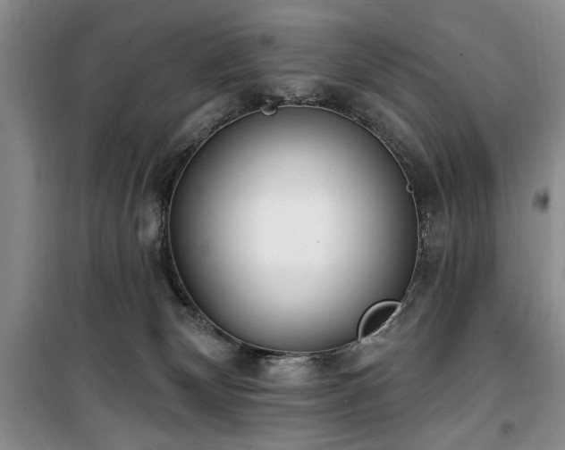 X0000100470132200806131135