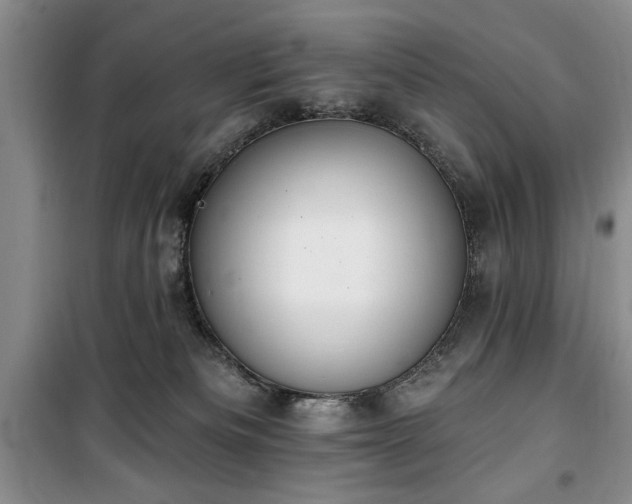 X0000100470133200806131135