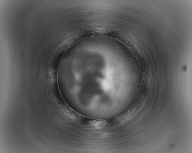 X0000100470135200806131135